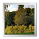 Wanderung in der Umgebung von Vucetinec