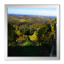 Wanderung in der Umgebung von Vucetinec